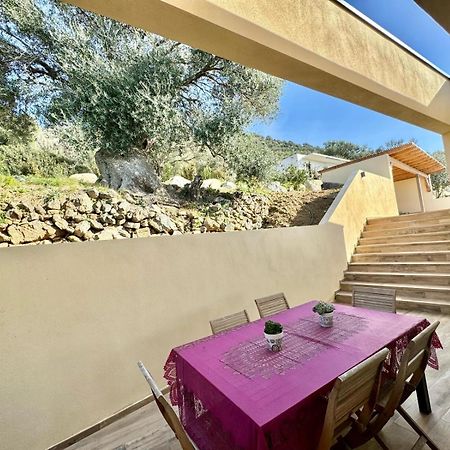 Super Villa Moderne Corbara Vue Mer Bagian luar foto